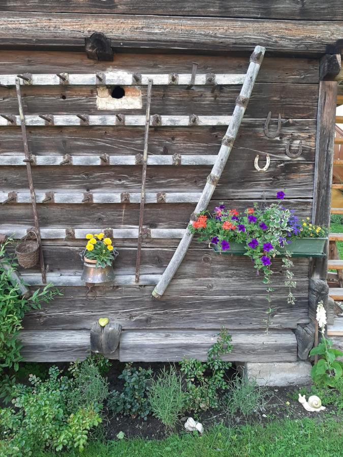 Landhaus Tippl Aigen im Ennstal Kültér fotó