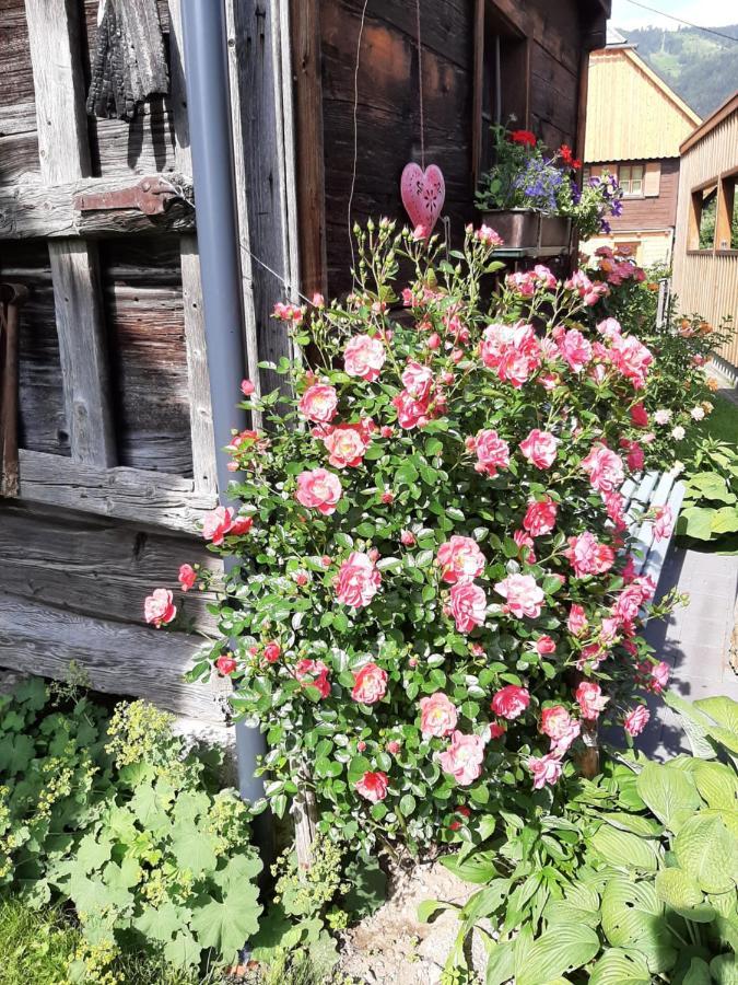 Landhaus Tippl Aigen im Ennstal Kültér fotó