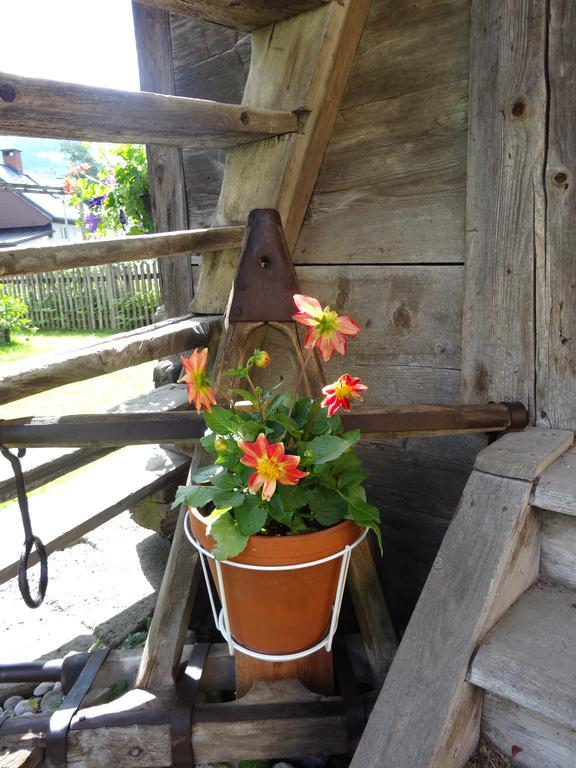 Landhaus Tippl Aigen im Ennstal Kültér fotó